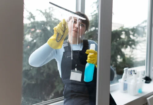 Nettoyage de vitres intérieures et extérieures à Duingt